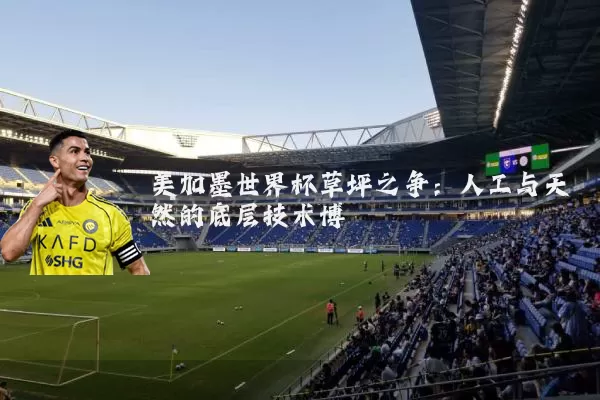 美加墨世界杯草坪之争:人工与天然的底层技术博弈